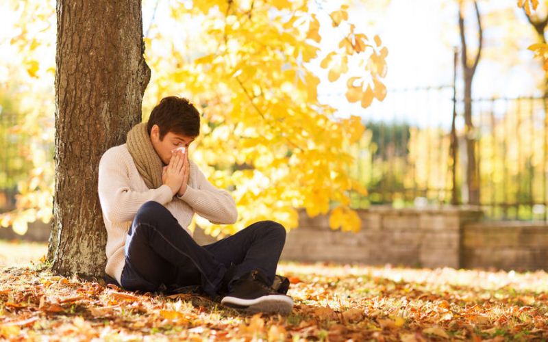 Alergia a arizónicas y ciprés