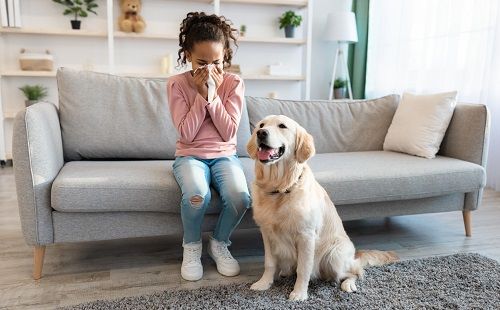 La alergia solo ocurre en primavera y otras mentiras