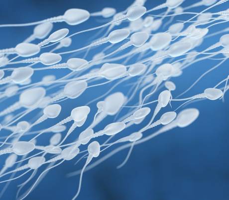 Ensayo clínico de un gel anticonceptivo masculino