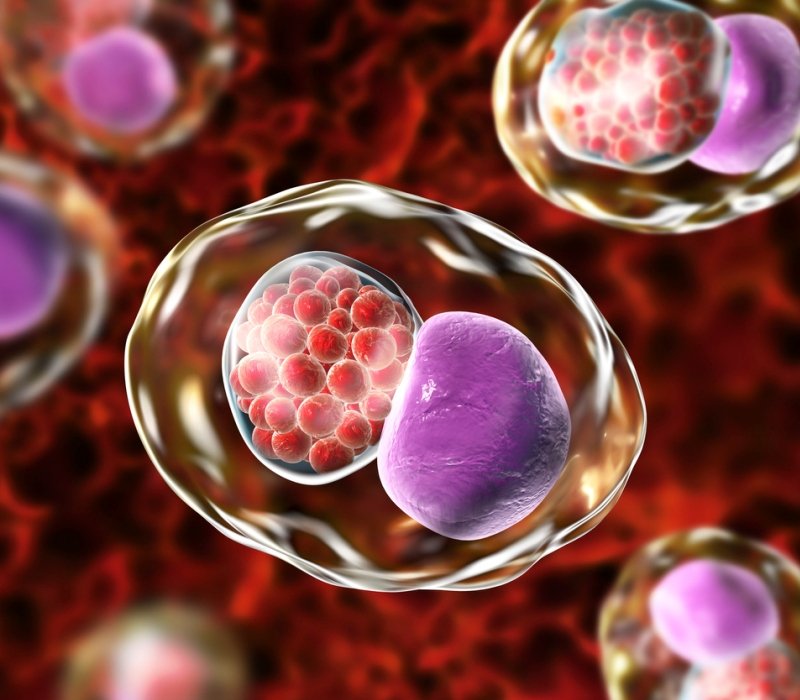 Bacterias de la ETS clamidia