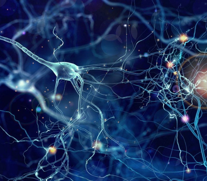 Células de las neuronas del cerebro