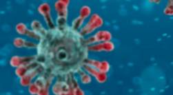 coronavirus.intra