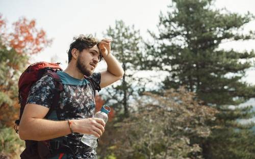 Cómo afecta el calor extremo al cerebro