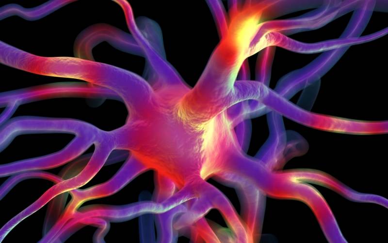 Estimulador magnético transcraneal