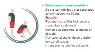 Estiramiento de la columna vertebral de pie