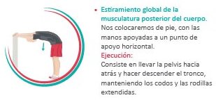 Estiramiento completo posterior