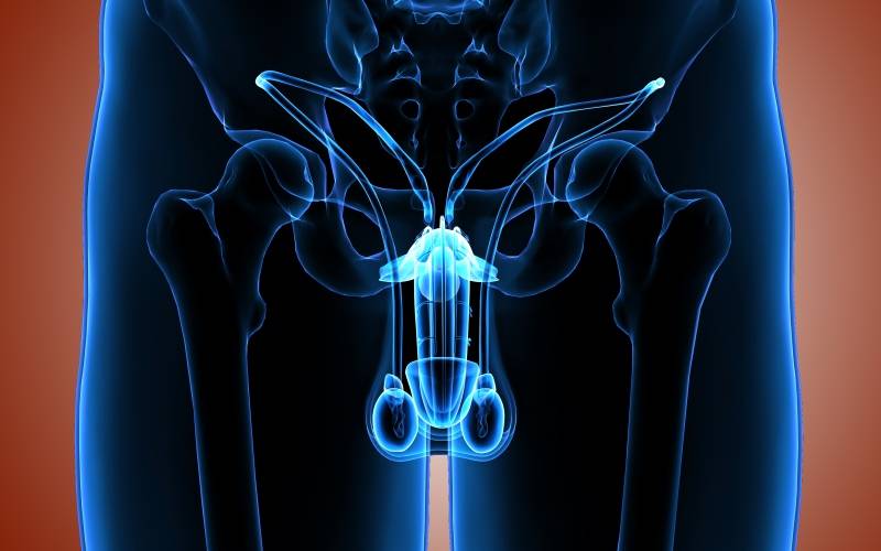 Los factores de crecimiento como solución a la disfunción eréctil