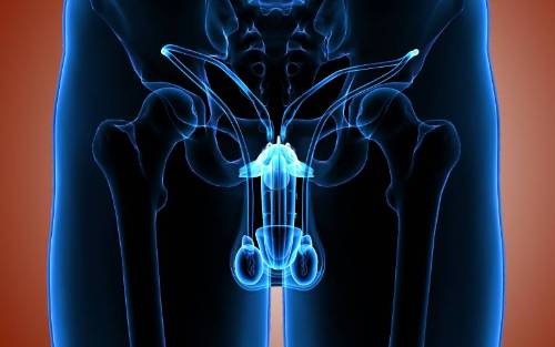 Los factores de crecimiento como solución a la disfunción eréctil