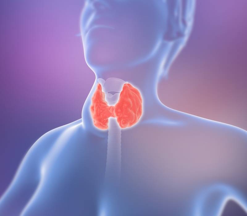 Hipotiroidismo y glándula tiroides