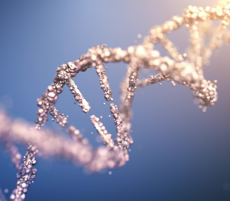 Imagen de ADN