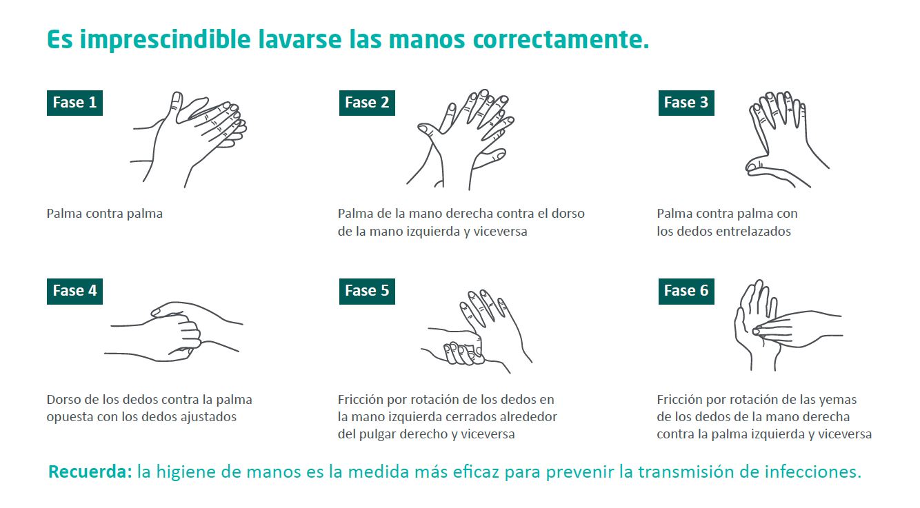 Infografía con los pasos para lavarse las manos