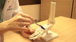 Cuidados básicos del pie diabético