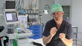 Cirugía cáncer de colon: Todo lo que necesitas saber (síntomas de alarma)