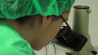 Geri, un incubador que mejora la selección de embriones