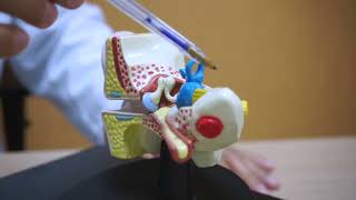 ¿Es posible quedarse sordo de repente?