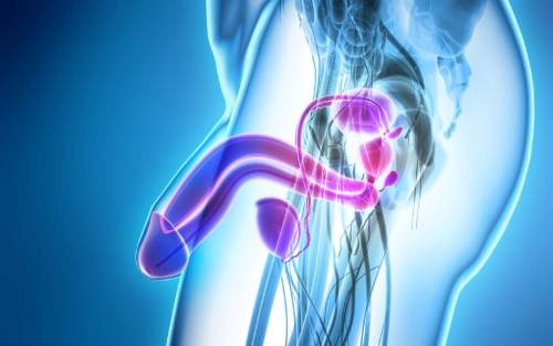 Ondas de choque para la disfunción eréctil