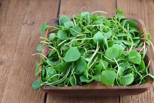 Propiedades de los berros