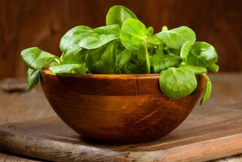 Propiedades de los canonigos