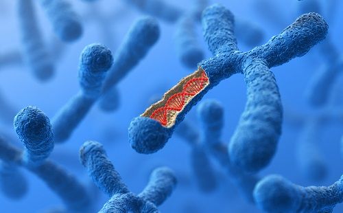 Cómo ayudan las pruebas genéticas a tu salud