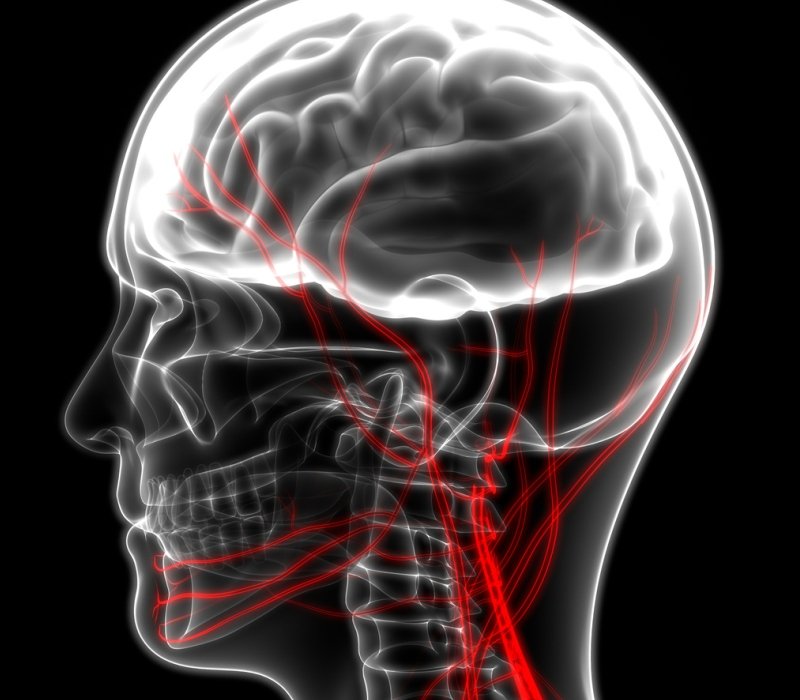 Representación del sistema nervioso
