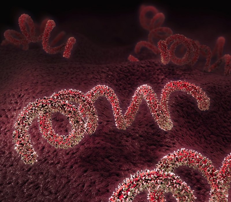 Sífilis y otras infecciones de transmisión sexual muy comunes