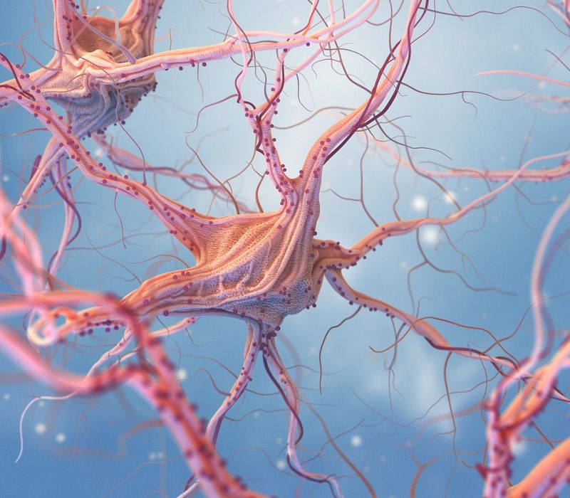 Nueva técnica para un mayor control de las crisis epilépticas