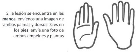 Cómo tomar la fotografía de manos y pies