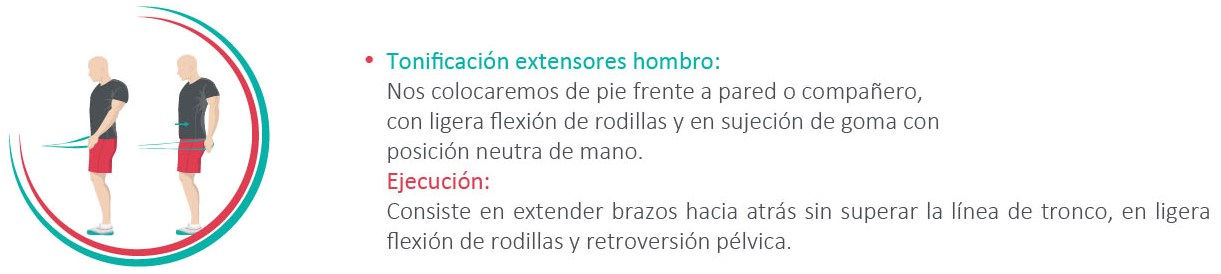 Extensores del hombro