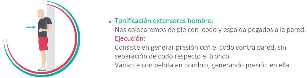 Extensores del hombro