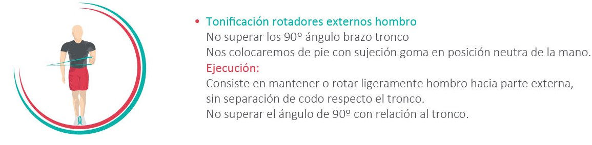 Rotadores externos de hombro