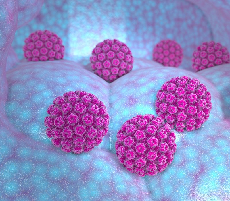 Las verrugas genitales son un síntoma del Virus del Papiloma Humano
