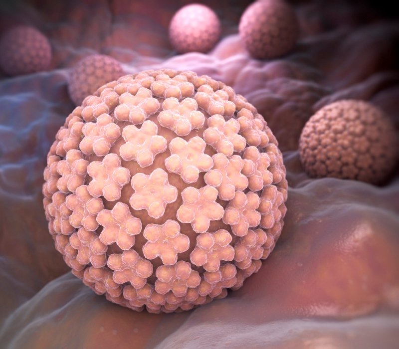 Virus del papiloma humano