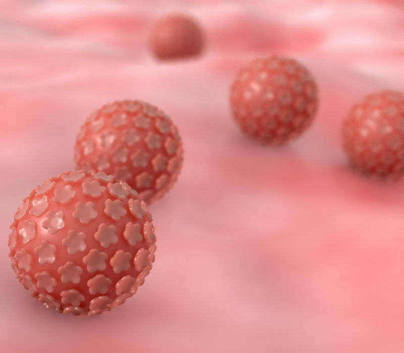 Virus del papiloma humano o VPH