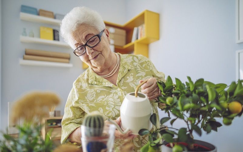 La viudez en los ancianos