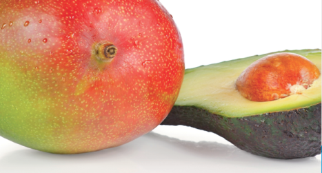 Ceviche de mango, aguacate y batata