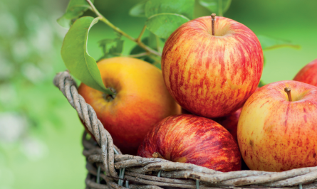 Ensalada de manzanas con yogurt