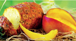 Helado de palo casero