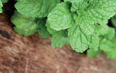 Tabulé de verduras y menta